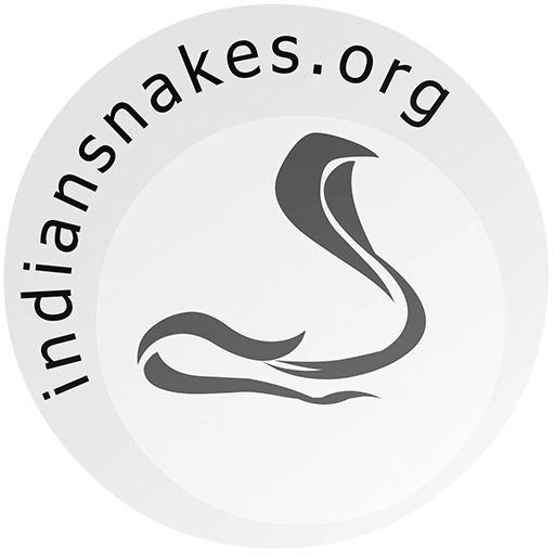 Indian Snakes